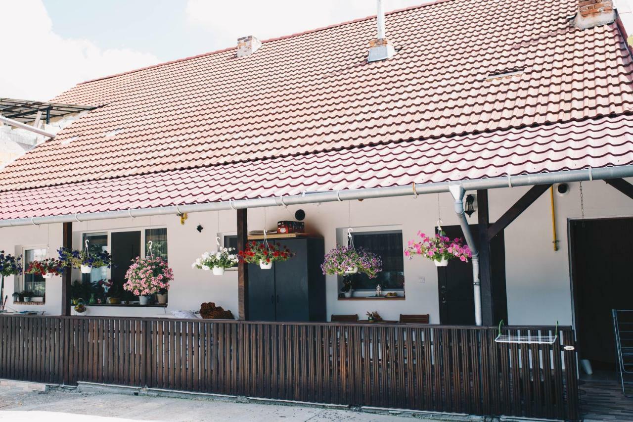 Paulaapartment&Rooms Oradea Eksteriør billede
